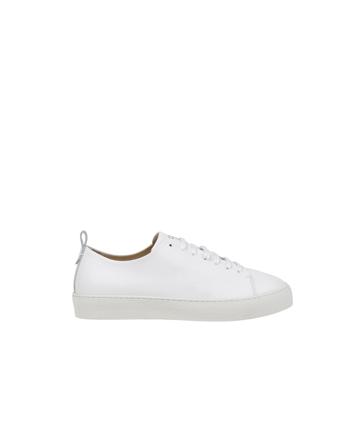 White sneaker on a gray background