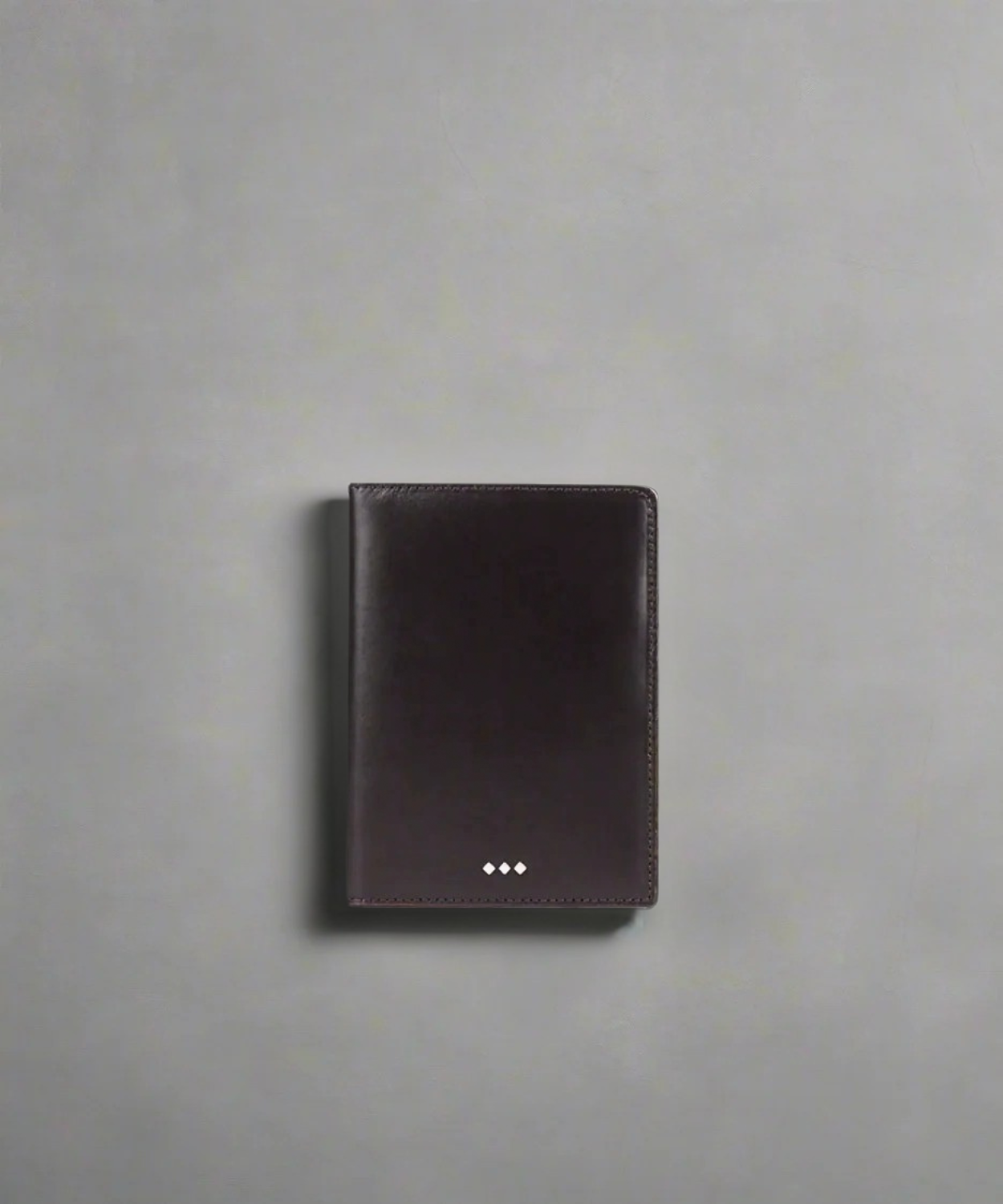 Analyst Passport Holder 221 | Brown