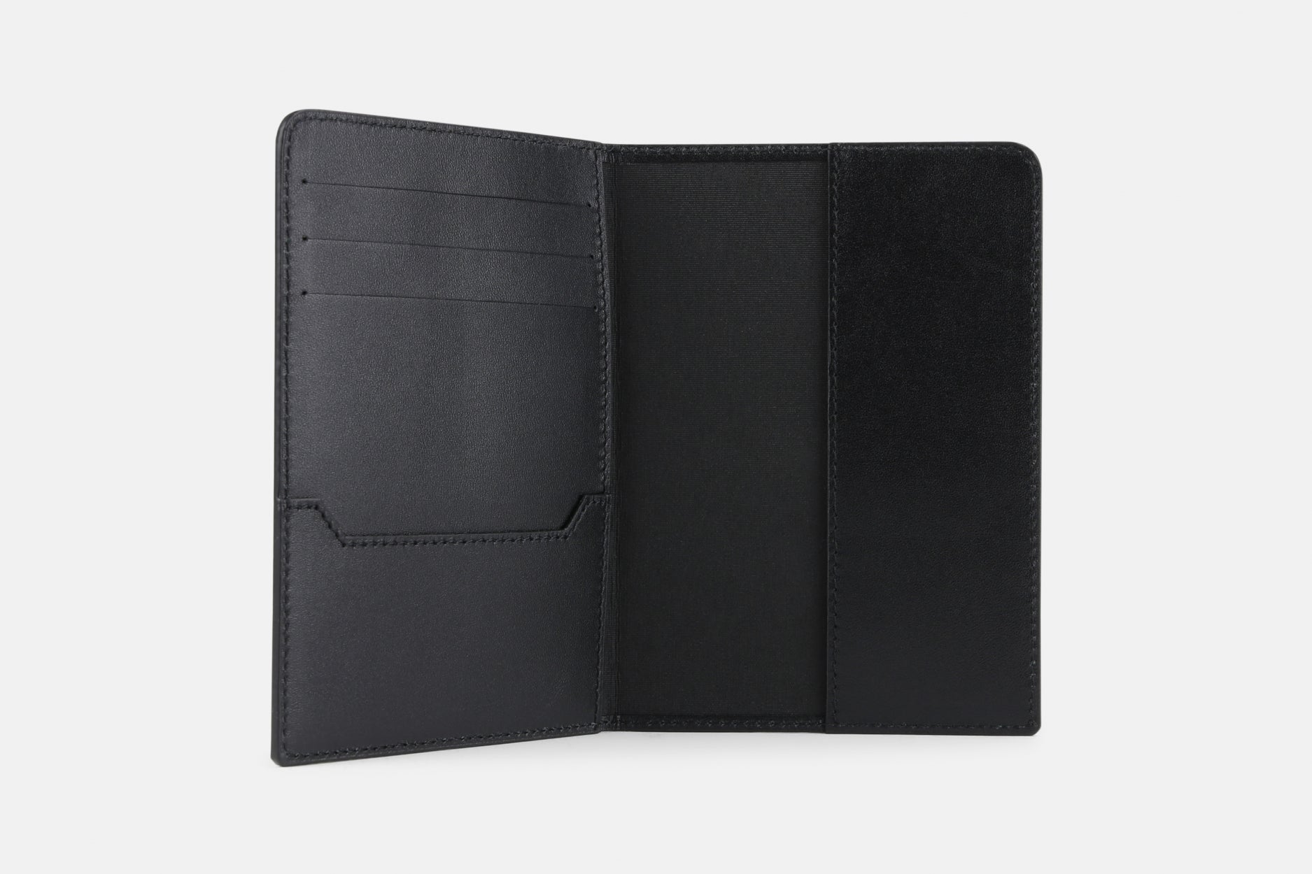 Analyst Passport Holder 221 | Black