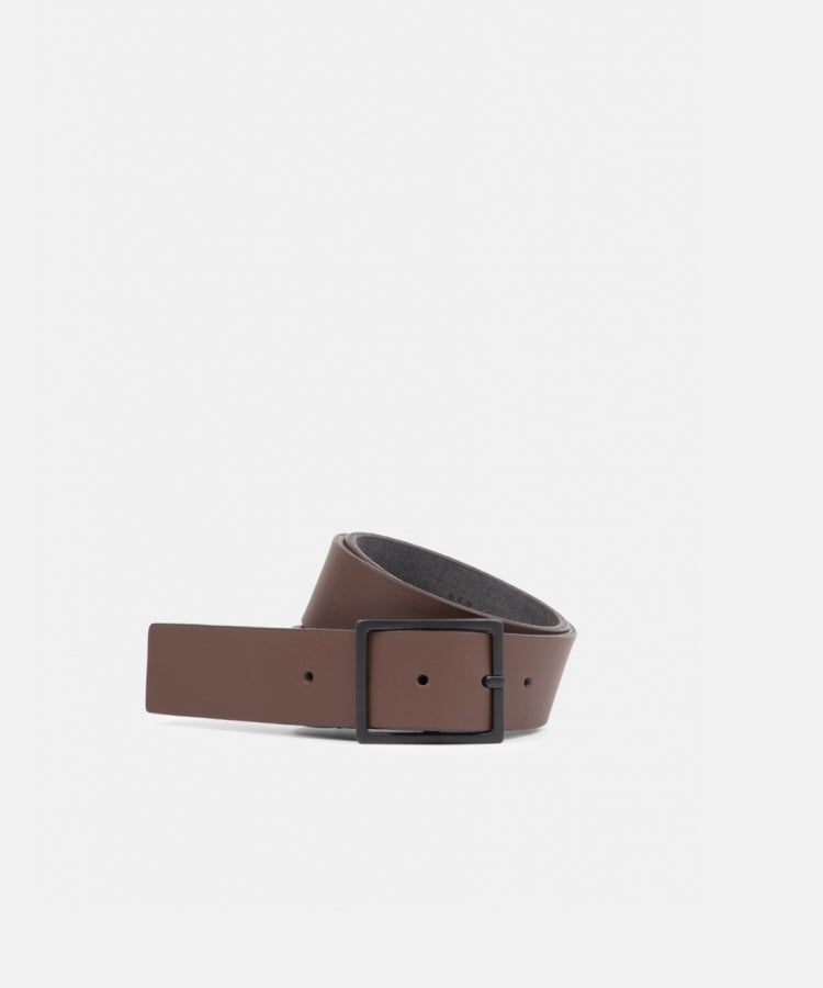 Quards Belt | Brown