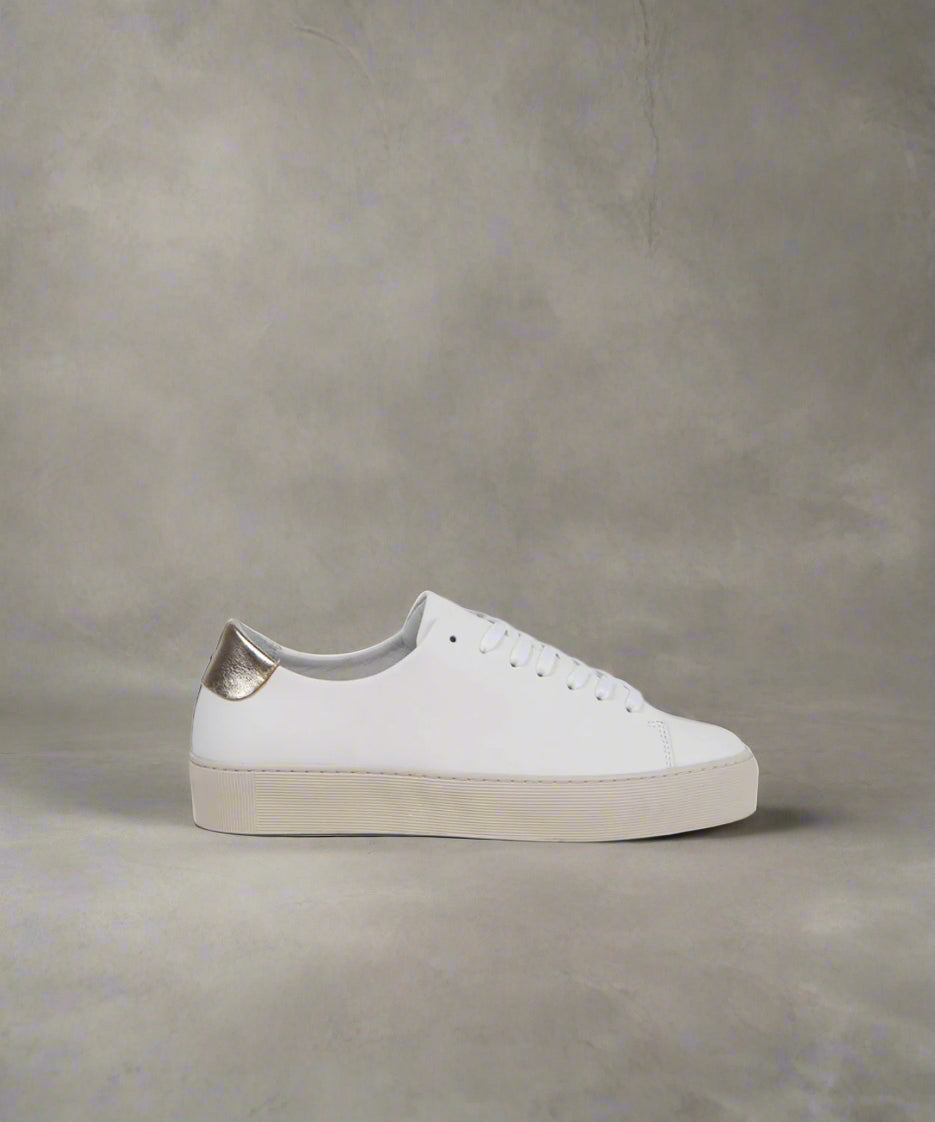 A white low-top sneaker with gold accents on the heel, featuring a lace-up closure and a flat sole.