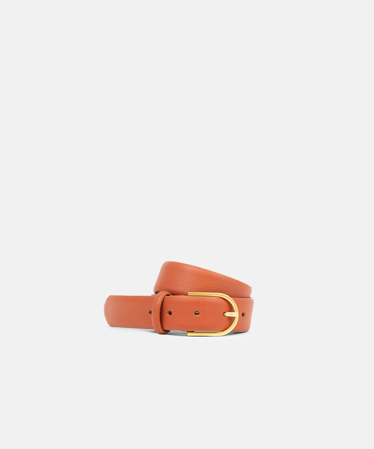 Reflection Belt | Tan